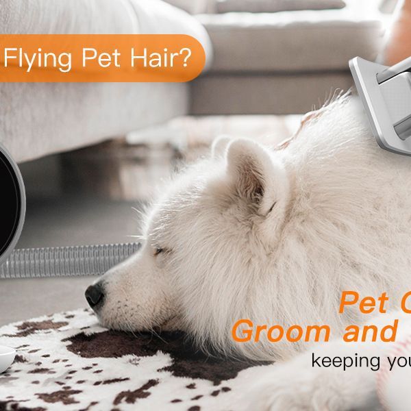 Pet Multifunctional Hair Conditioner Cleaning