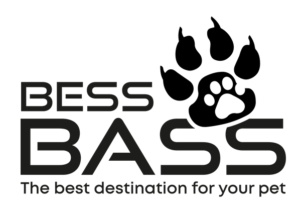 BESSBASS